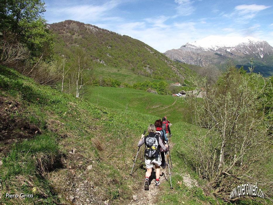 12 Dal bosco usciamo sui prati di Muschiada.jpg